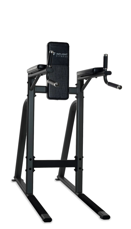 Inflight Vertical Knee Raise and Dip Station