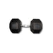 6-Sided Rubber Hex Dumbbell 80LB Troy USA Sports