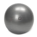 BSTSB (Gray) Body-Solid Exercise Stability Balls