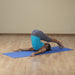 Body Solid Tools BSTYM Premium Yoga Mats