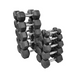 BodyKore Dumbbell Set