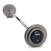 Gray-Pro Style Fixed EZ Curl Barbells with Rubber End Cap