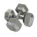 Troy USA Sports 35LB Gray Cast Iron Dumbbells