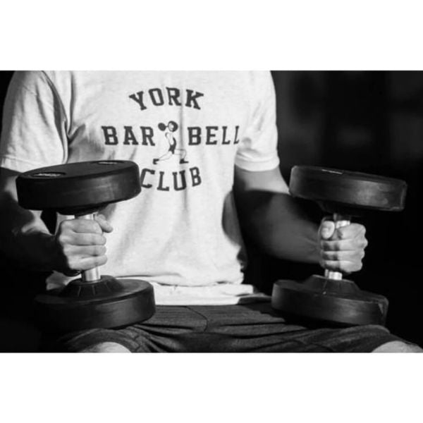 York Barbell Pro Style Dumbbell Male User