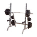 gpr370 multi use squat rack corner view with barbells