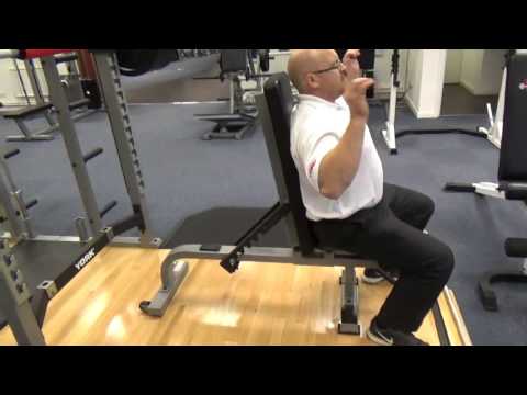York Barbell STS Flat To Incline Bench